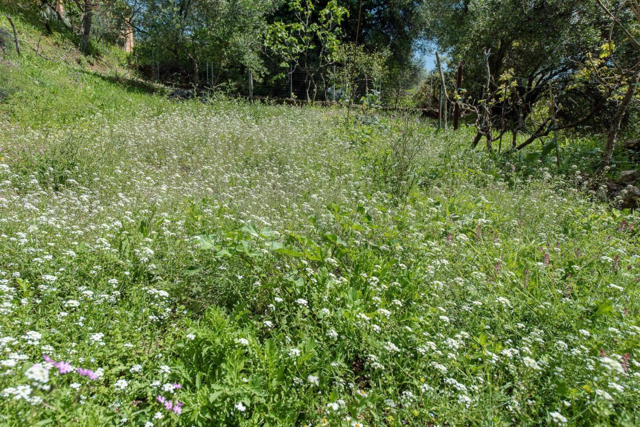 Willa Lily'S House Áno Korakiána Zewnętrze zdjęcie